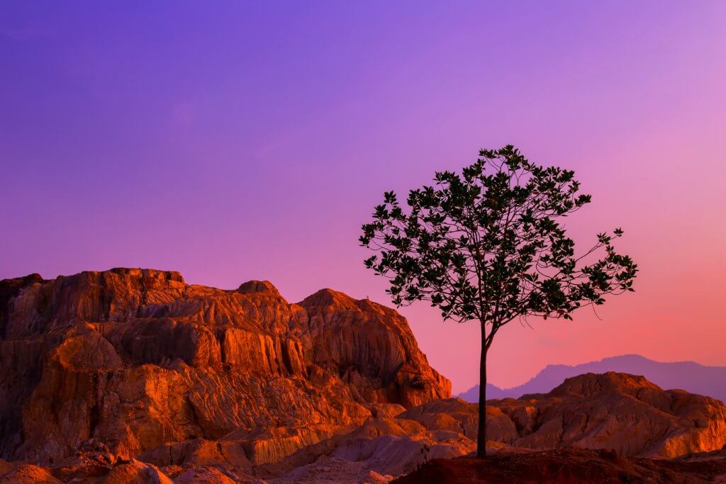 silhouette of tree near rock formations under blue sky at daytime